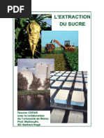 L Extraction Du Sucre Ced Us