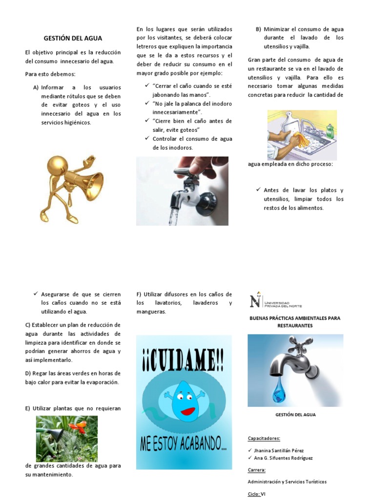 Tríptico sobre el Cuidado del Agua | PDF | Conservación de energía | Riego