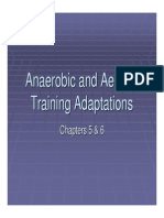 Metabolic Adaptation 2