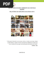Relatorio Da Gincana Ecologica 2013 Ok