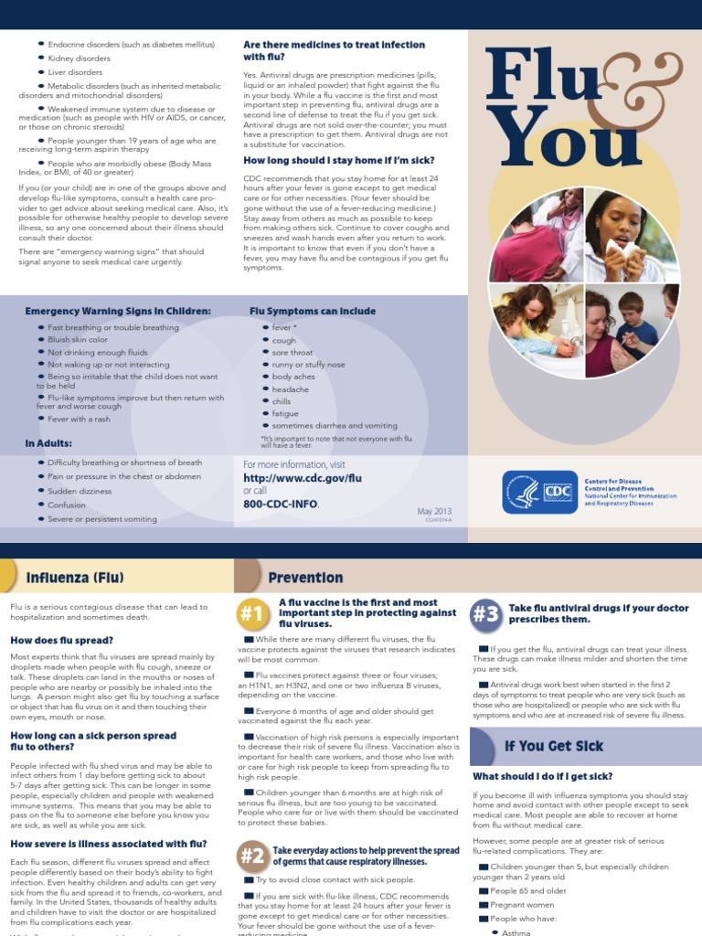 Flu Symptoms and High-Risk Groups | PDF