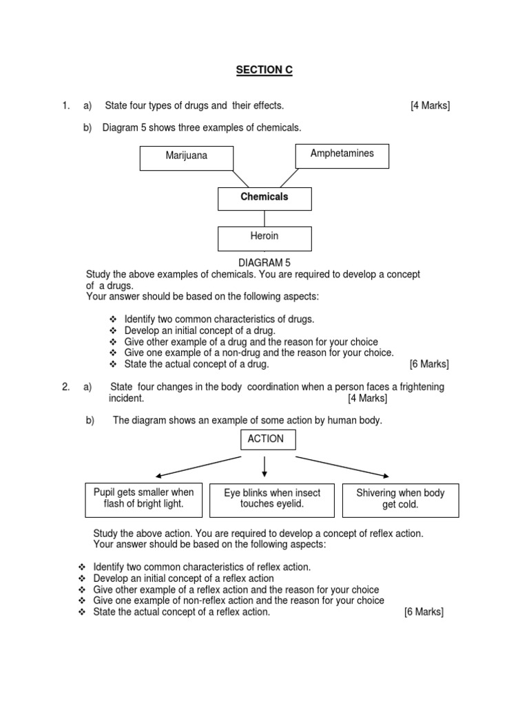Modul Sains SPM Section C | PDF | Experiment | Optics