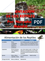 alimentacion de los reptiles