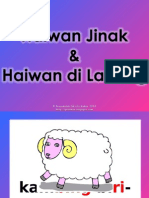 Haiwan Jinak