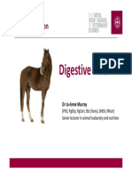 Week 1 - Equine Digestive Tract