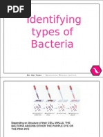 Download Part One Identifying types of  bacteria by autismone SN18464906 doc pdf