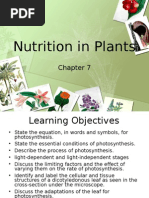 Download Pure Biology Chapter 7 Nutrition in Plants by hamsterish SN18469112 doc pdf
