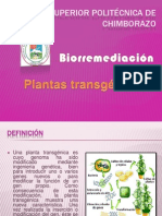 Plantas Transgenicas