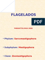 Clase Flagelados