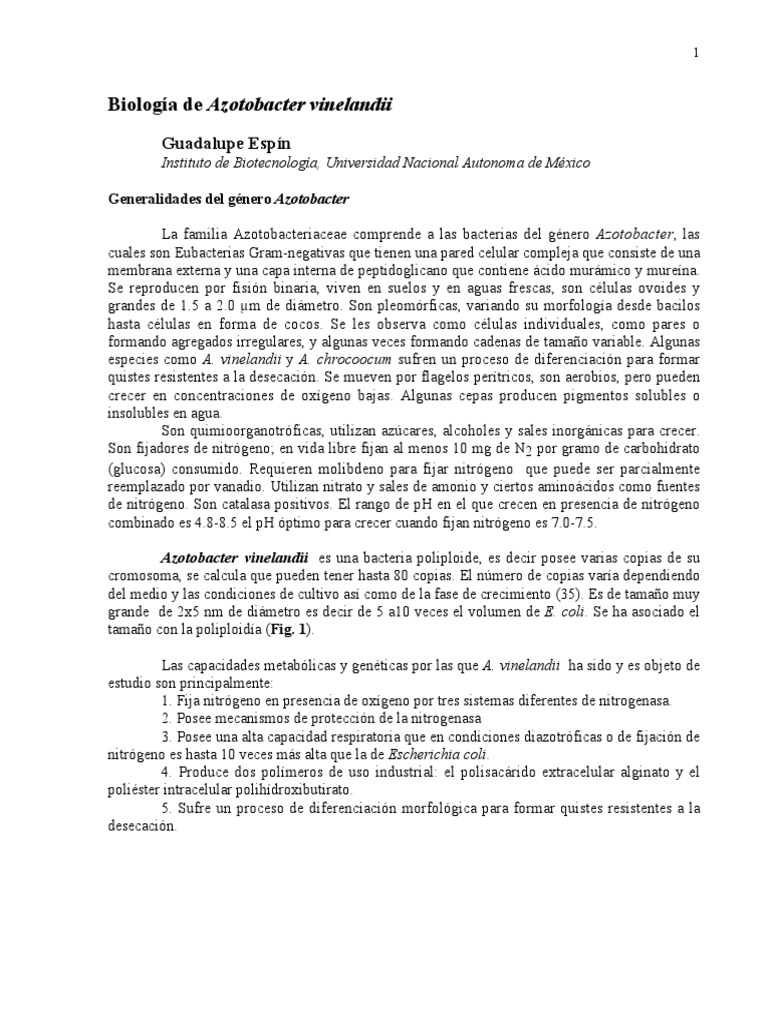 Biología de Azotobacter vinelandii | PDF | Procesos celulares ...