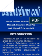 Balantidium