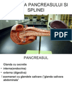 Anatomia Pancreasului Si Splinei