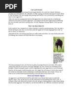 Feline FAS Scale: Understanding Aggression | PDF