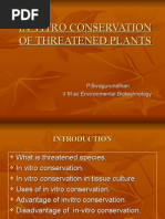 Download IN VITRO CONSERVATION OF THREATENED PLANTS by sivagurunathanP SN18478806 doc pdf