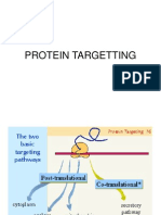 Protein Targ