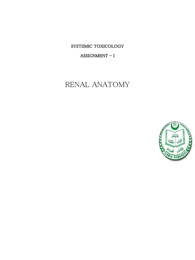 Renal Anatomy And Physiology Pdf Kidney Epithelium