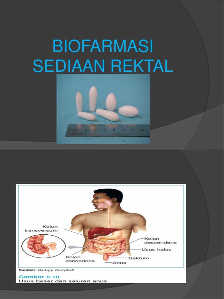 Sediaan Obat Rektal dan Penyerapan | PDF