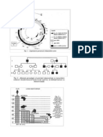 Particularitatile Genomului Uman Mitocondrial