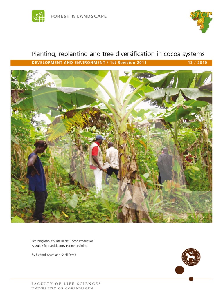 Cocoa Farming PDF Grafting Plant Nursery