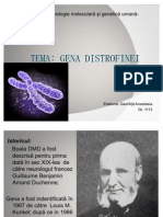 45164339 Gena Distrofinei