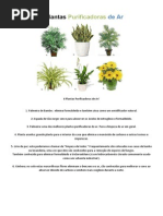 6 Plantas Purificadoras de Ar