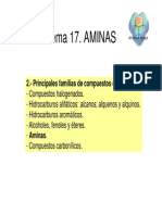 Tema17.Aminas