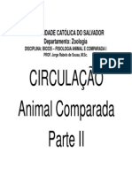 bio335-circulacao-02