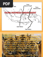 Download Fauna Indonesia Bagian Barat by Sekar Nuramalia SN184960157 doc pdf