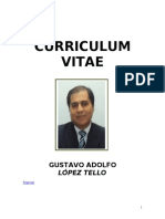 Curriculum Vitae Gustavo Adolfo López Tello_Diciembre_2013