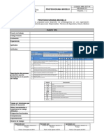 Modelo profesiograma SST