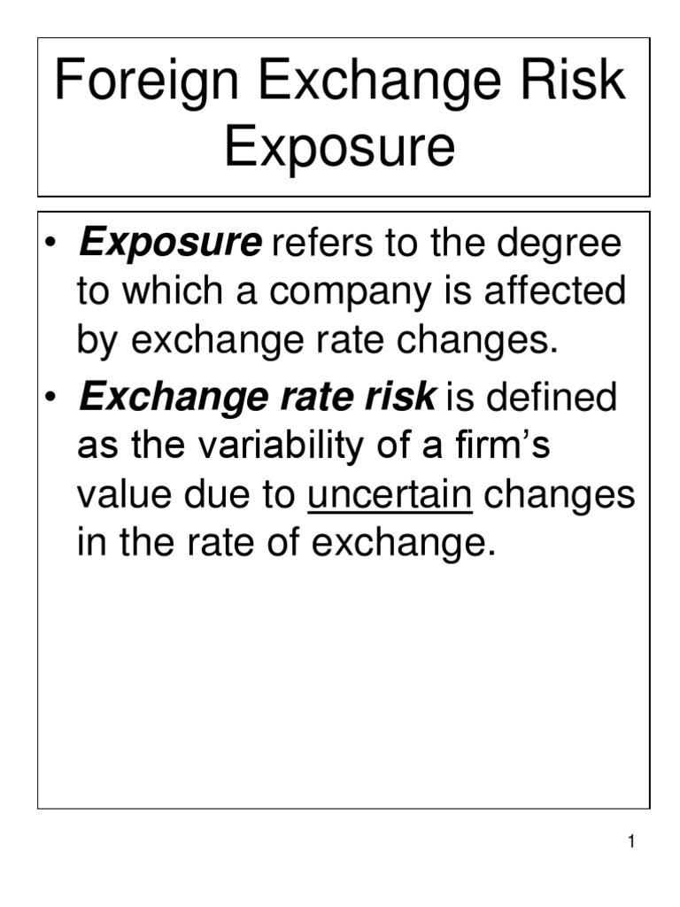 Foreign Exchange Risk Exposure Hedge (Finance) Balance Sheet Free