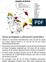 Areas Prote y Petroleo