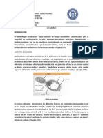 Bioprocesos Levaduras