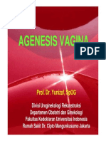 Agenesis Vagina Agenesis Vagina: Prof. Dr. Yunizaf, Spog