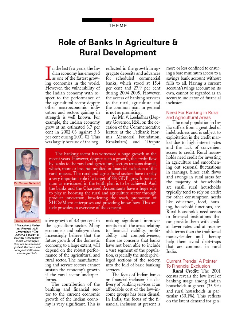 Banking's Role in Rural Development | PDF | Loans | Banks