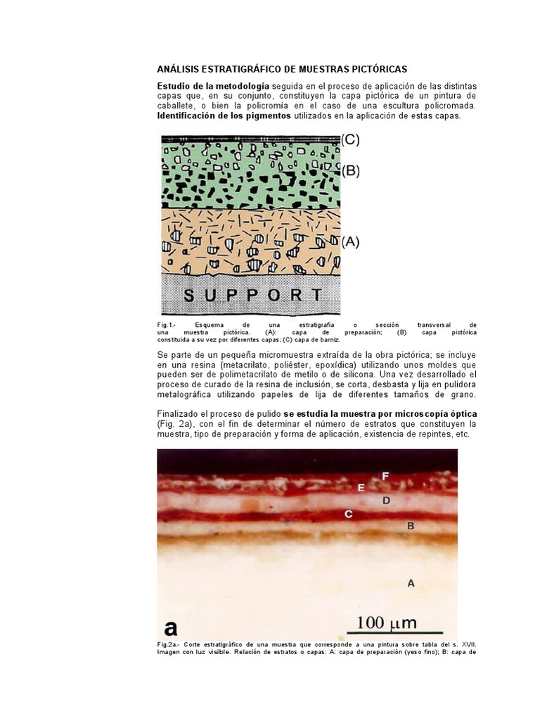 Taller De Artes Plasticas Pdf