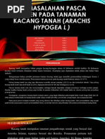 Download Permasalahan Pasca Panen Pada Tanaman Kacang Tanah  by wina_r SN185054166 doc pdf
