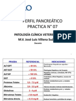 Practica N - 7 Perfil Pancreático