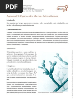 agentesetiologicosdasmicosessubcutneas