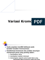 6.2. Variasi Kromosom