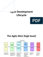 Agile Development Lifecycle