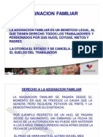 IPS - Asignación Familia y Subsidio Único Familiar