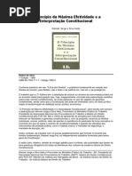 O Princípio da Máxima Efetividade e a Interpretação Constitucional