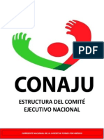 Estructura Oficial Conaju