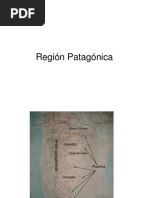 11)Región Patagónica