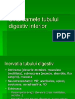 Sindroamele Tubului Digestiv Inferior 2011