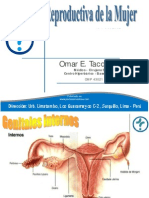 Folículo ovárico: desarrollo y función hormonal