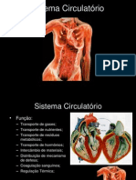 Sistema Circulat