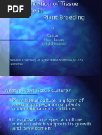 Download Molecular Plant Breeding  Tissue Culture Techniques by Nasir Hussain Faraz SN18523784 doc pdf