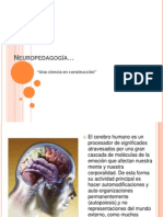 Neuropedagogía